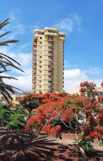 Estudio Coqueto Torres Del Sol 아로나 외부 사진